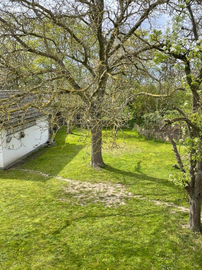 Willa Kleines Haus Am Feld Rehna Zewnętrze zdjęcie
