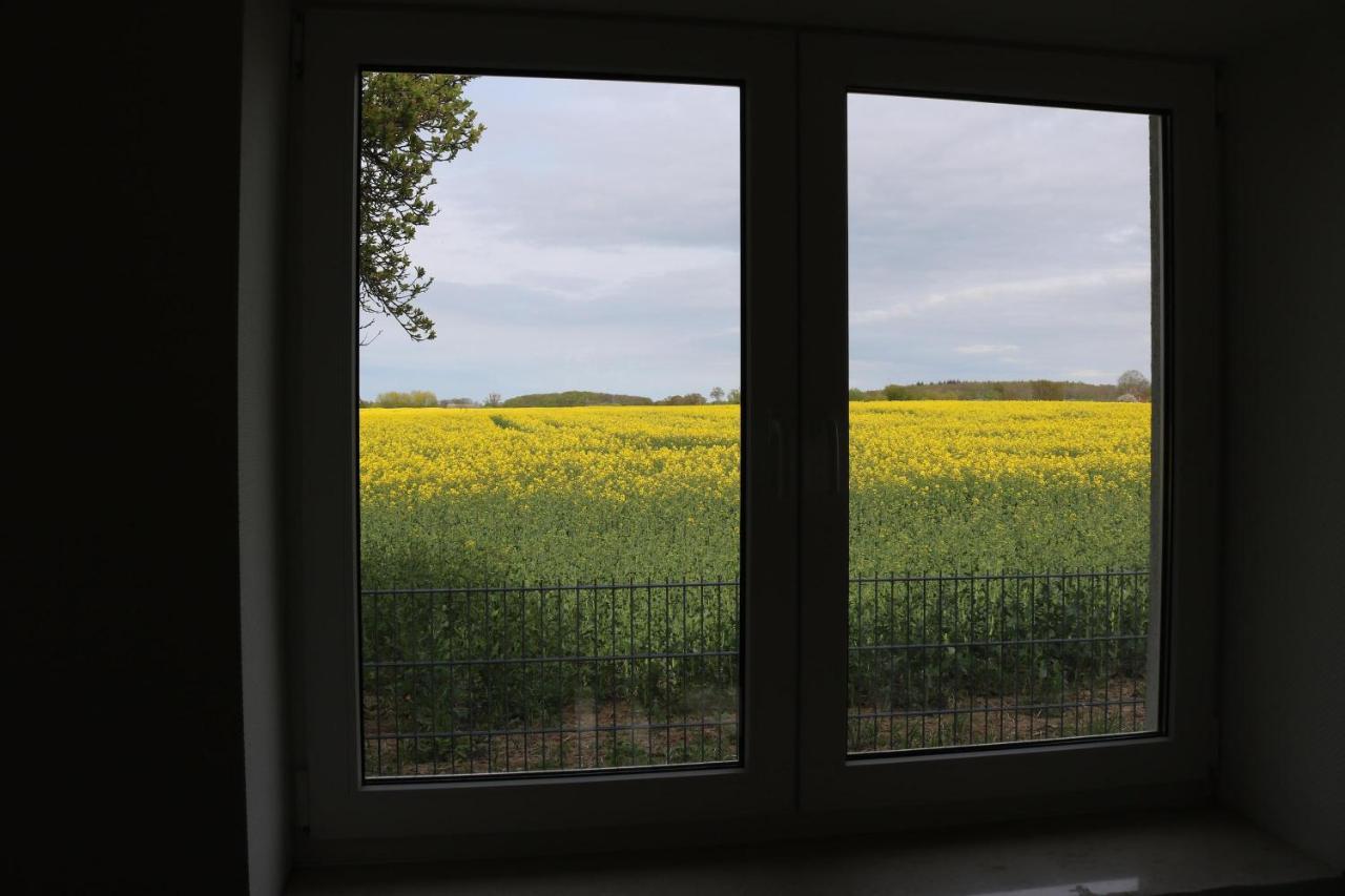 Willa Kleines Haus Am Feld Rehna Zewnętrze zdjęcie