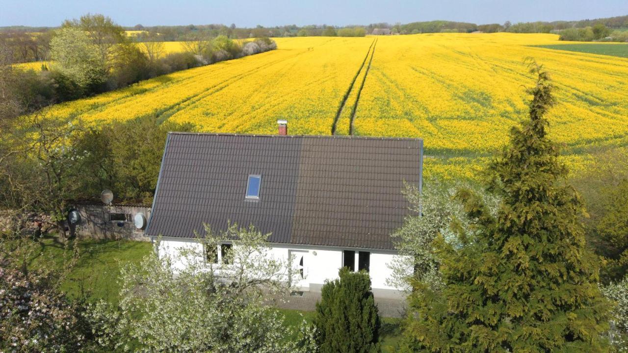 Willa Kleines Haus Am Feld Rehna Zewnętrze zdjęcie